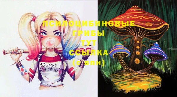 синтетический гашиш Алексеевка